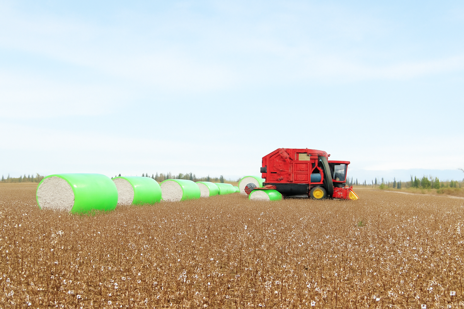 Cotton harvest and wrapped bale operations